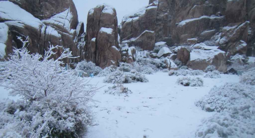 snow covers a rocky landscape in joshua tree national park
